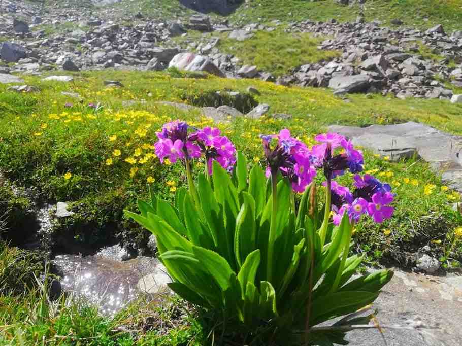 Four Mountain Pass in karakoram Range Images