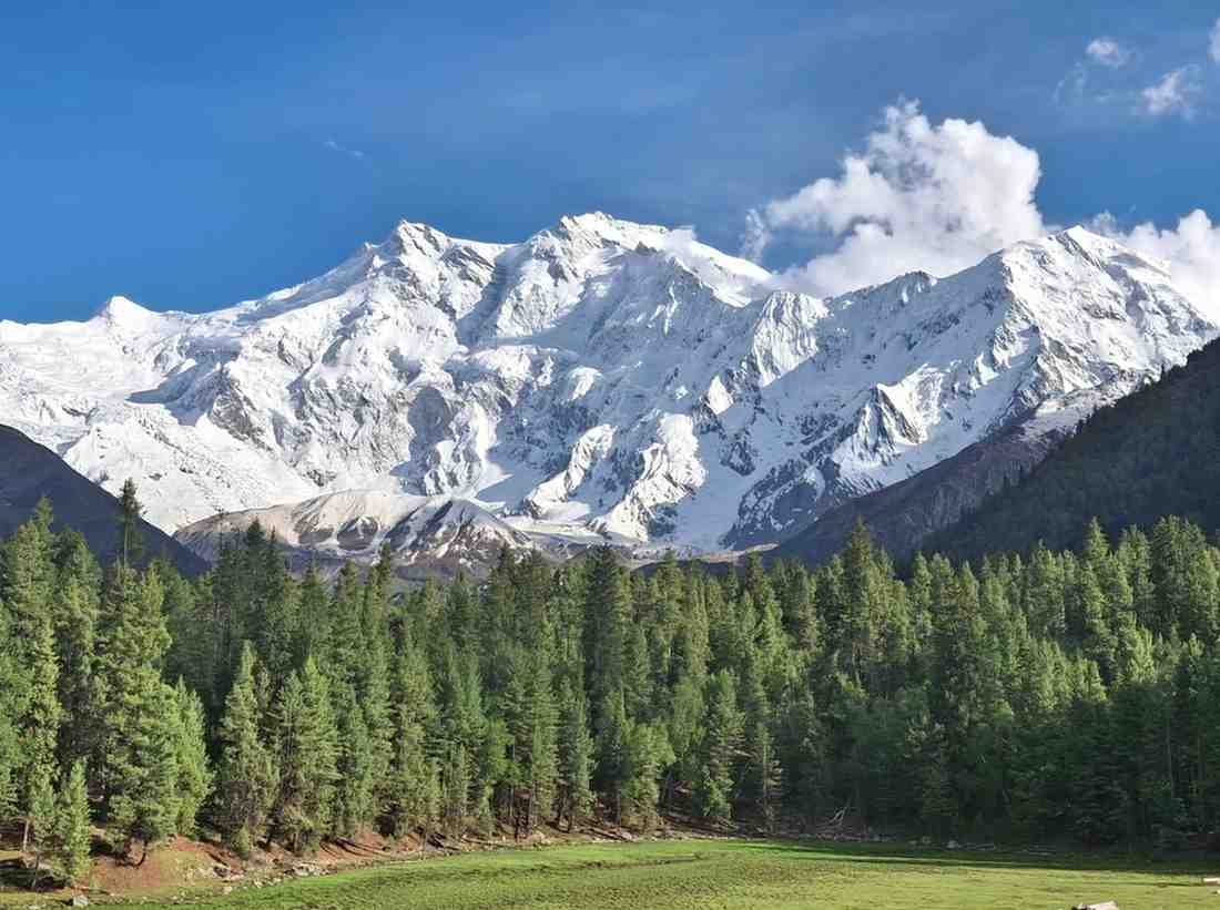 Nanga Parbat  Expeditions Images