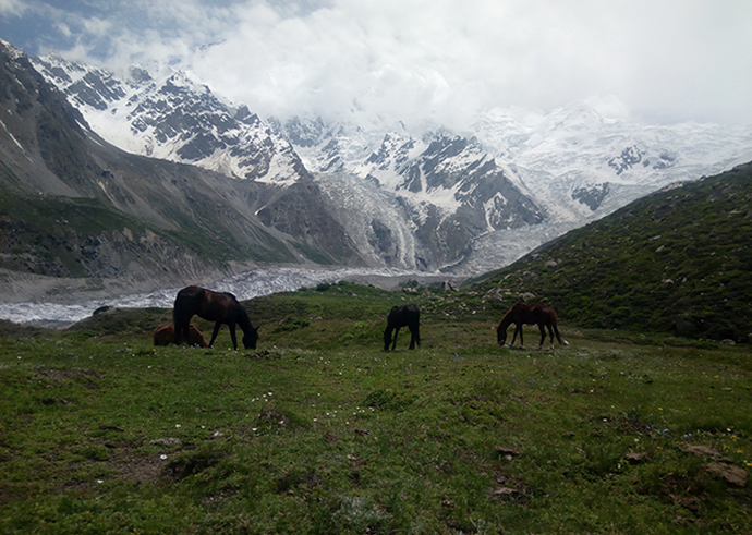 Fairy Meadow Nanga Perbat BC & Hunza Trip Images