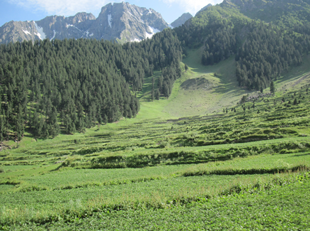 NALTAR PASS TREK, K2 base camp via gondogoro la trek, K2 base camp and concordia trek, Trekking in karakoram Images