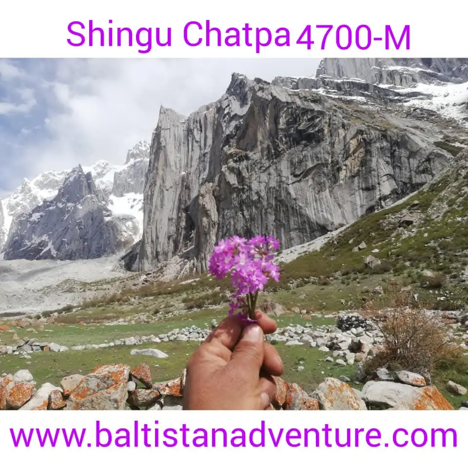 Shingo Chatpa (Father & Son) Peak Expedition 2026 | 4,700m Nangma Valley Rock Climbing — Baltistan Adventure Images